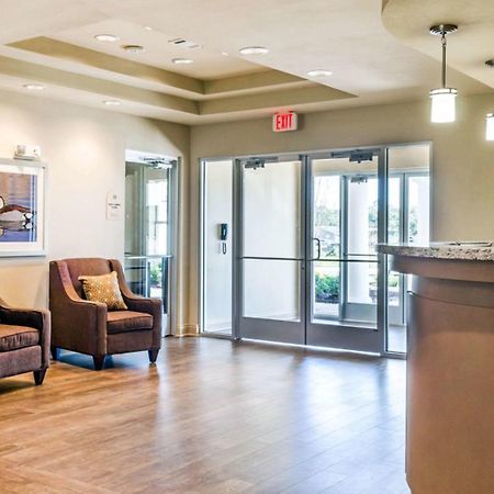 Mainstay Suites Hackberry Sportsman'S Lodge Esterno foto